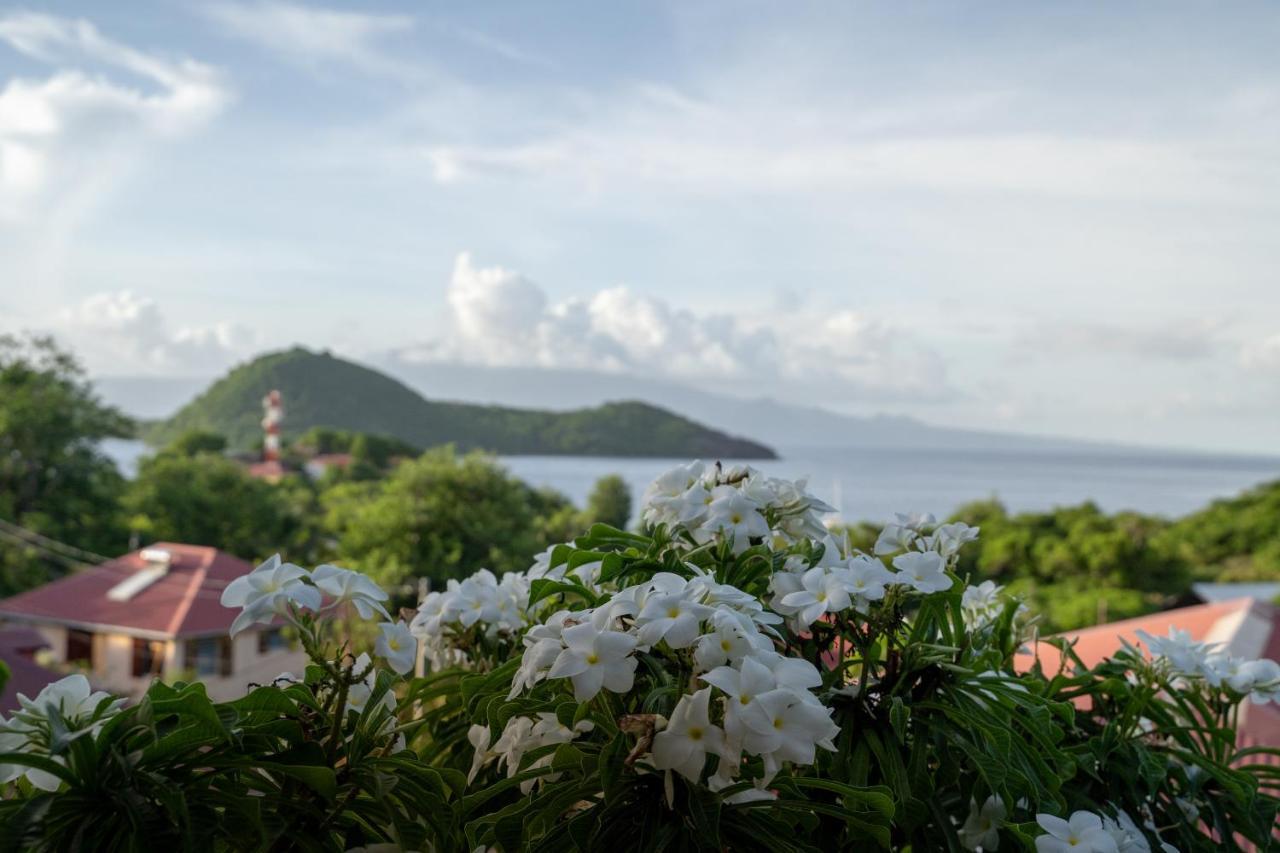 Bungalow Anse Figuier Тер-де-О Экстерьер фото